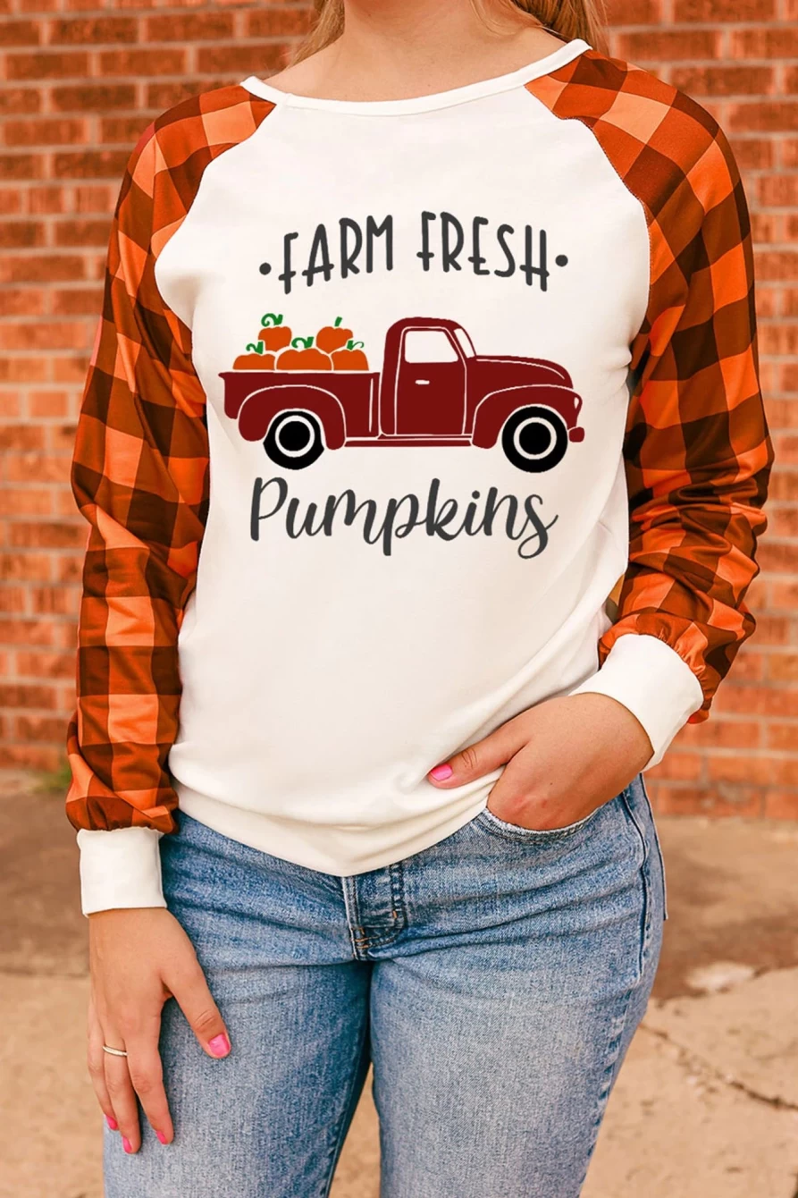 Shewin Women's Orange Plaid Sleeve Farm Fresh Pumpkins Graphic Top