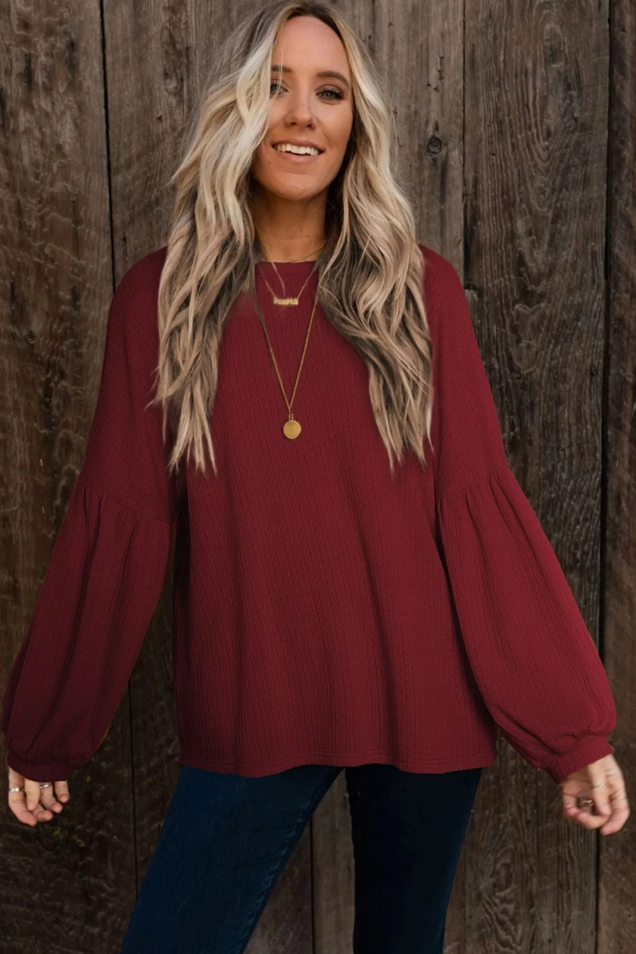 Shewin Women's Ruby Solid Color Textured Lantern Sleeve Blouse