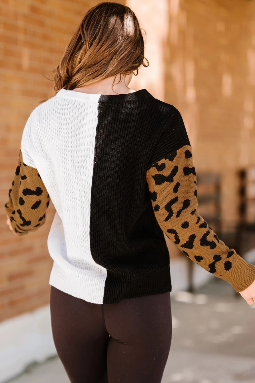 Shewin Women's Leopard Print V-Neck Sweater with Color Block Sleeves