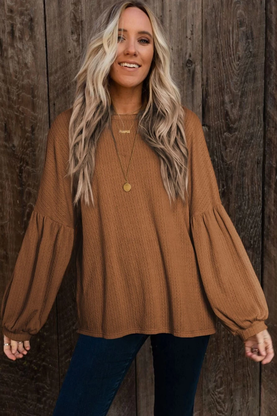 Shewin Women's Brown Solid Color Textured Pullover Casual Long Sleeve Top