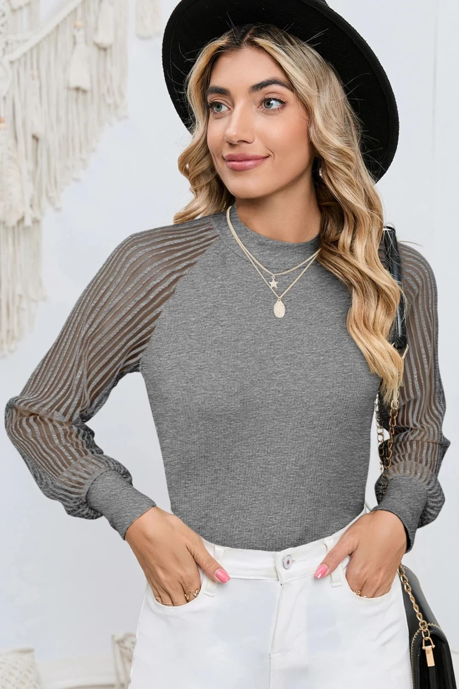 Shewin Women's Gray Striped Mesh Long Sleeve Crew Neck Top